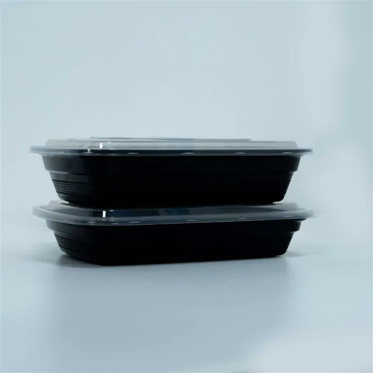High-Capacity Disposable Lunch Boxes - For Generous Meal Portions (4)